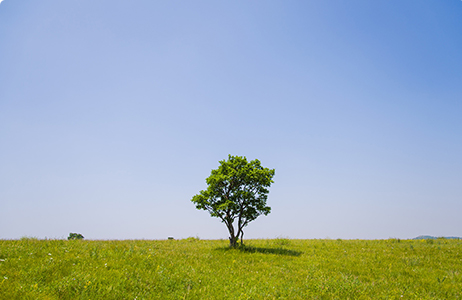 完善制度，规范流程，严格履行信息披露义务