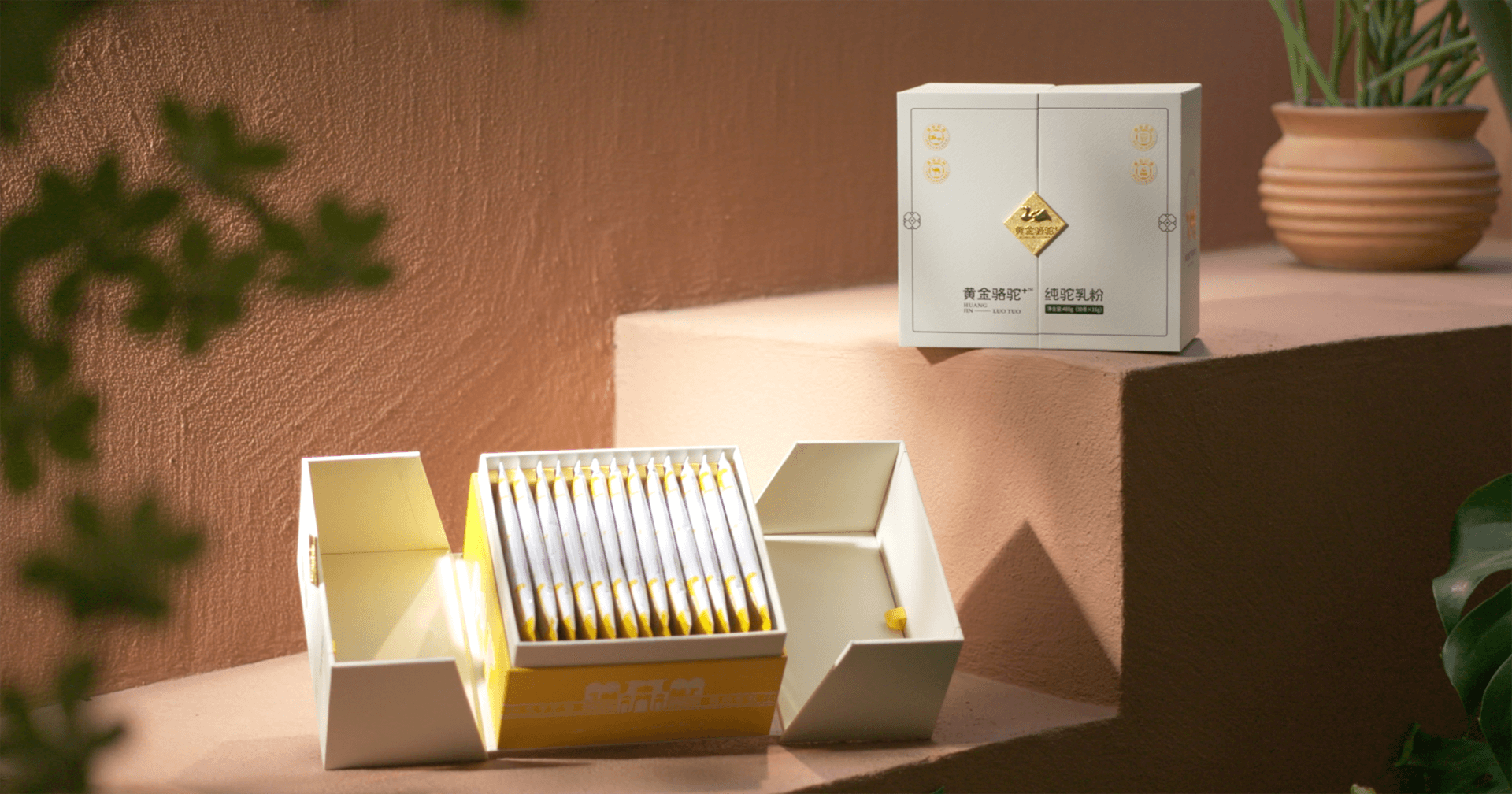 定位小众高端乳粉，jinnianhui今年会推出驼奶品牌“黄金骆驼+”，角逐乳品新市场！